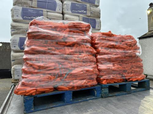 Sacks of carrots in store now!